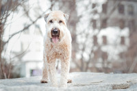 20190203robertasaphotography.zenfolio.com43