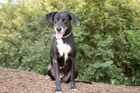20180804GCSPCA8201816